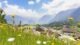 Landal Chalet Matin