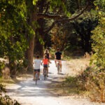RCN Het Grote Bos