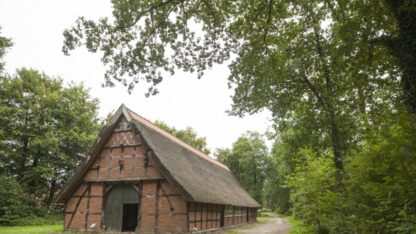 Landal Dwergter Sand