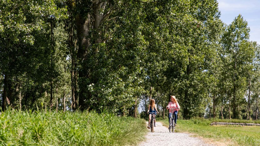 Parc de IJsselhoeve