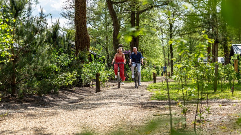 Résidence Lage Vuursche