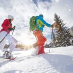 Landal Winterberg