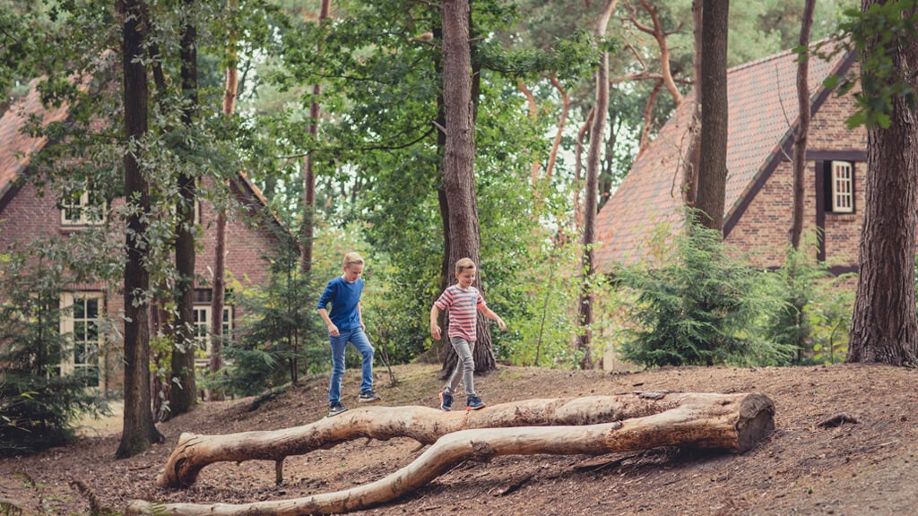Efteling Bosrijk