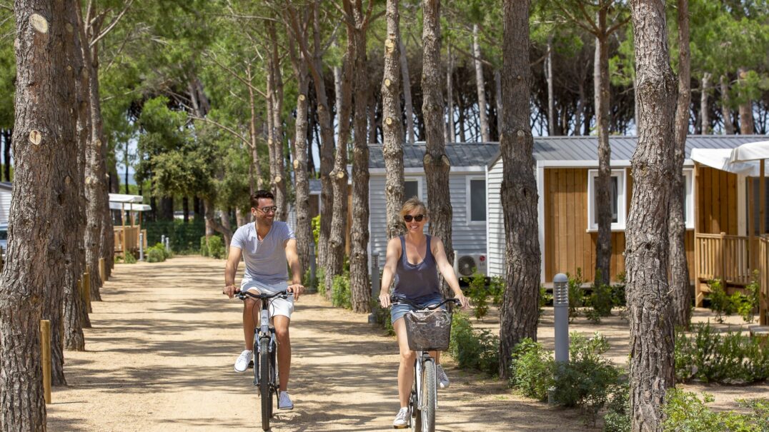 Cypsela Resort
