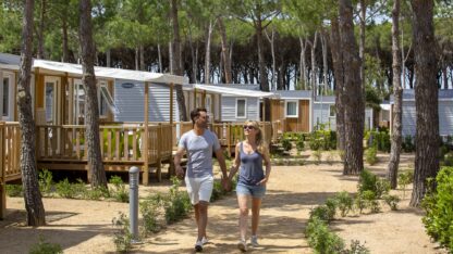 Cypsela Resort