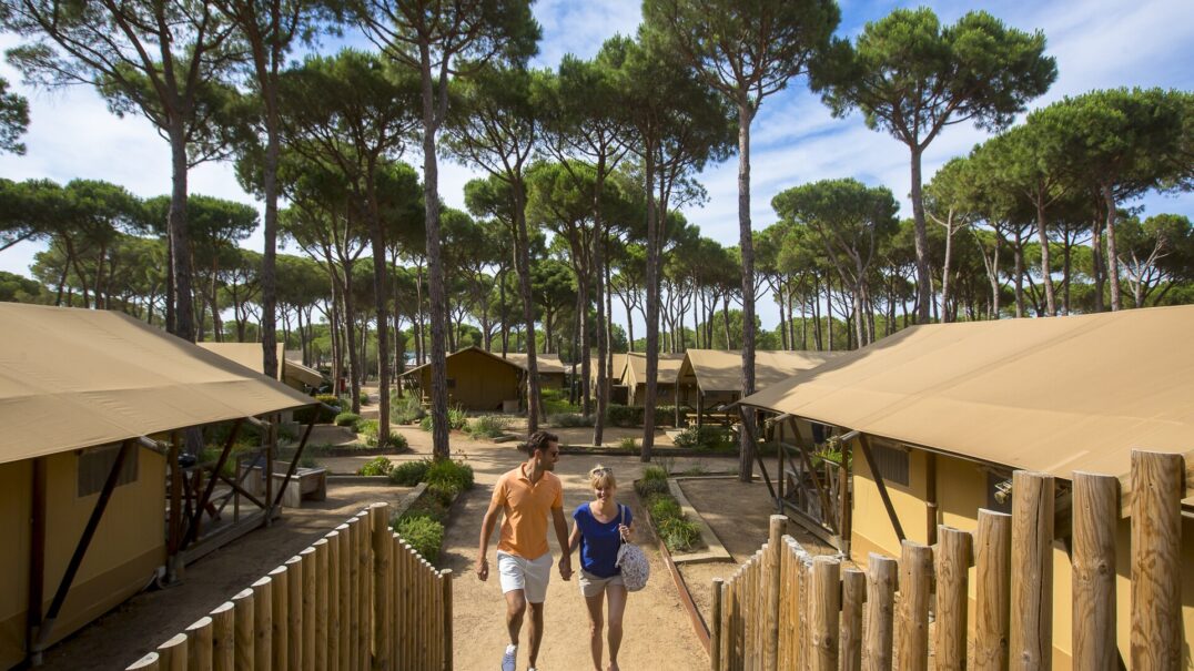Cypsela Resort