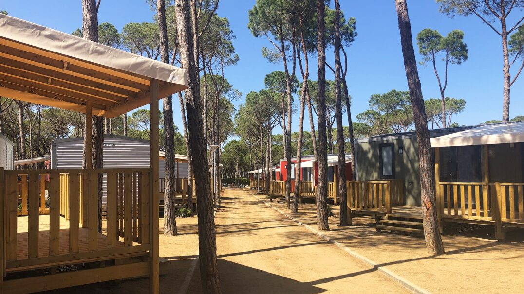 Cypsela Resort