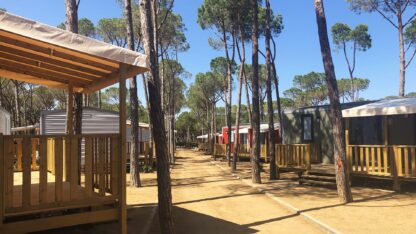 Cypsela Resort