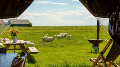 Boerderij Ameland