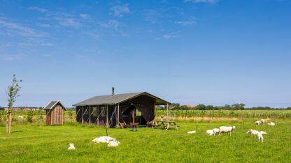 Boerderij Ameland