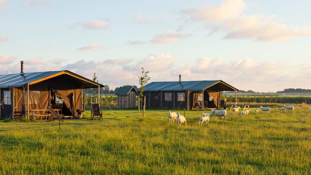 Boerderij Ameland