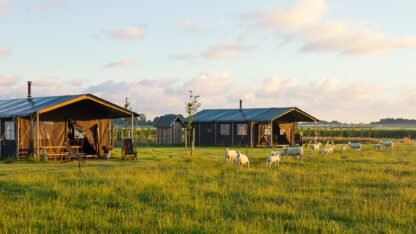 Boerderij Ameland