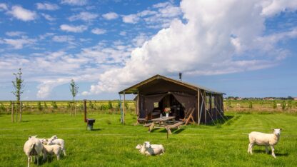 Boerderij Ameland