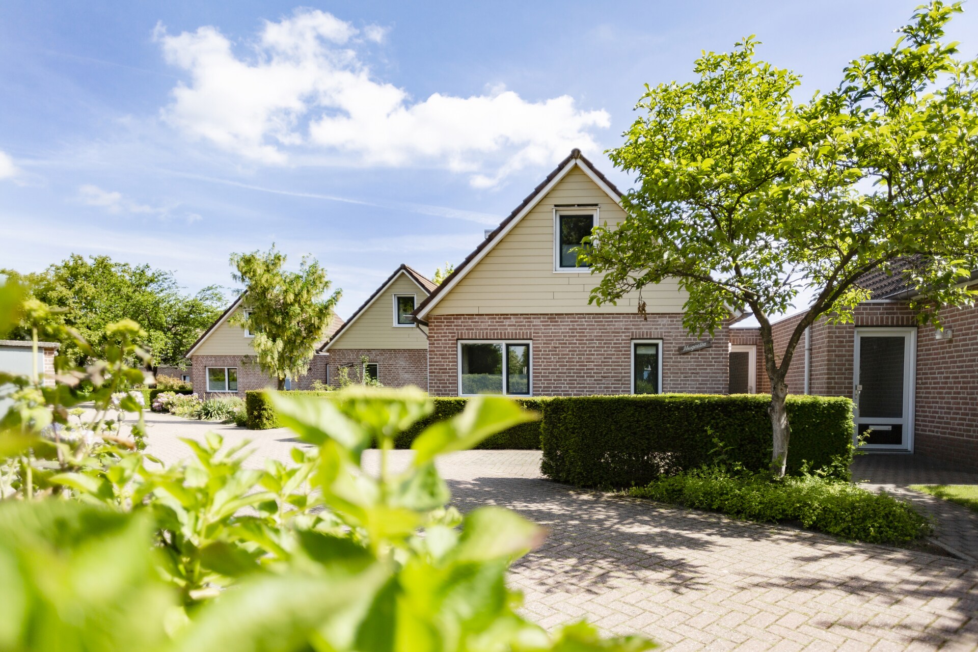 Vakantiepark De Riethorst