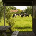 Hoeve de Betuwe