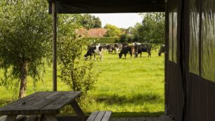 Vakantiepark vroegboekkorting pakken in 2026