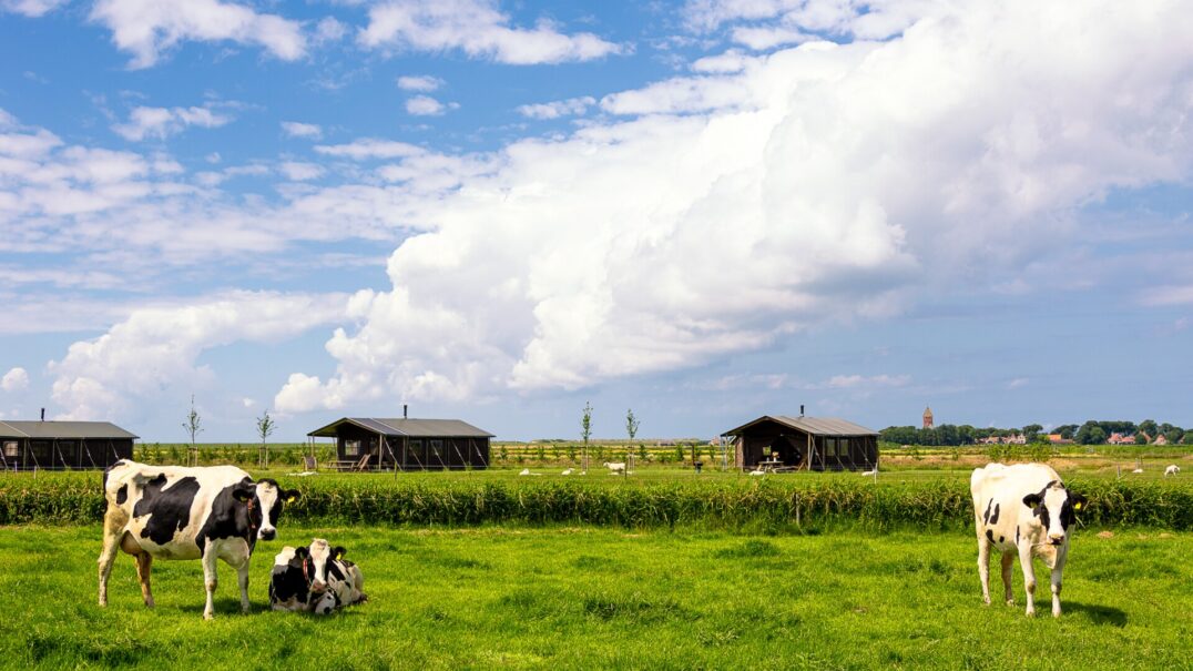 Boerderij Ameland