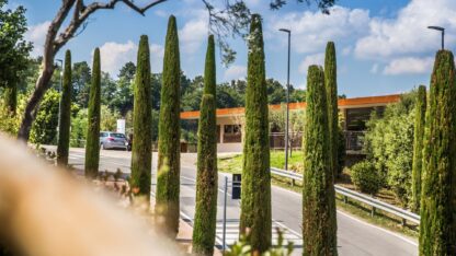 Camping Norcenni Girasole