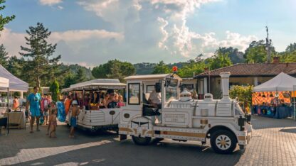 Camping Norcenni Girasole
