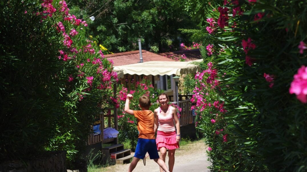 Camping Norcenni Girasole