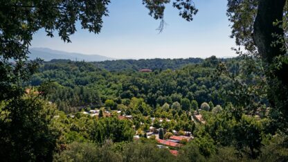 Camping Norcenni Girasole
