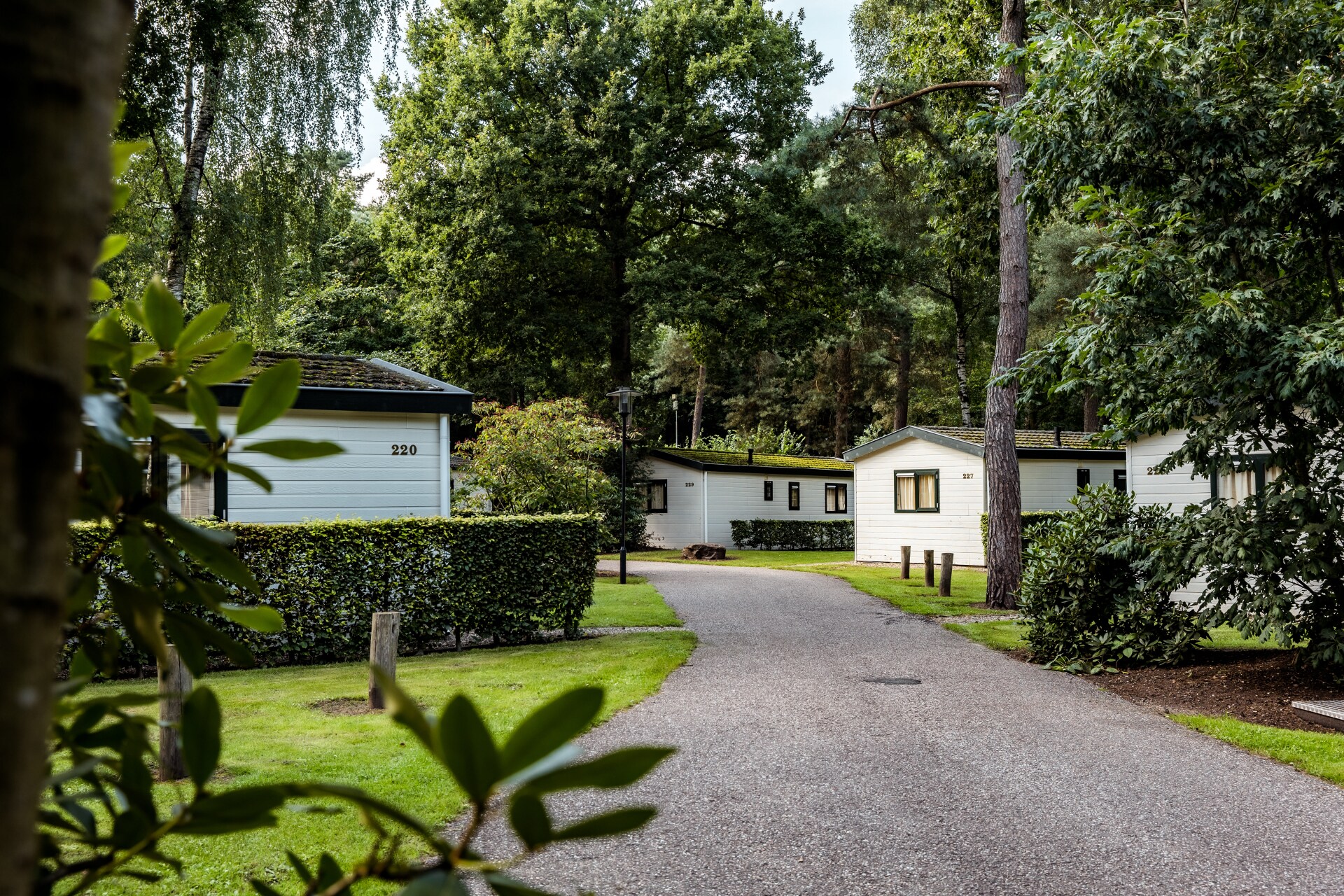 Bospark De Schaapskooi