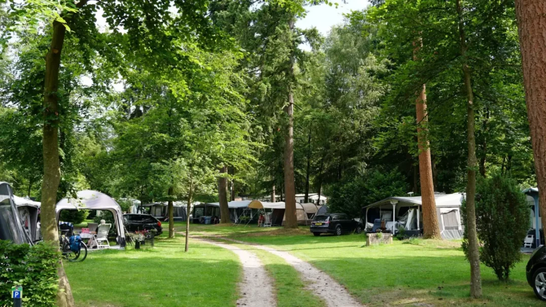 Vakantiedorp De Jutberg