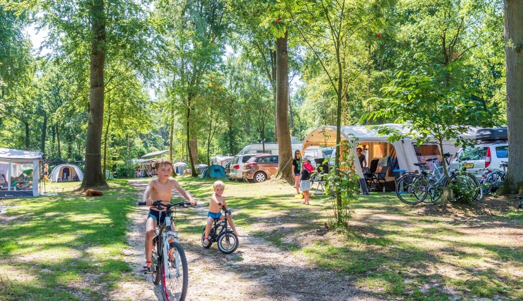 Vakantiedorp De Jutberg