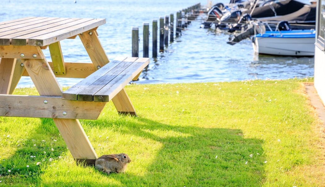 Camping en Villapark De Paardekreek