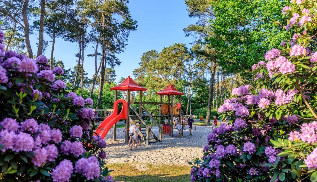 Camping Diana Heide