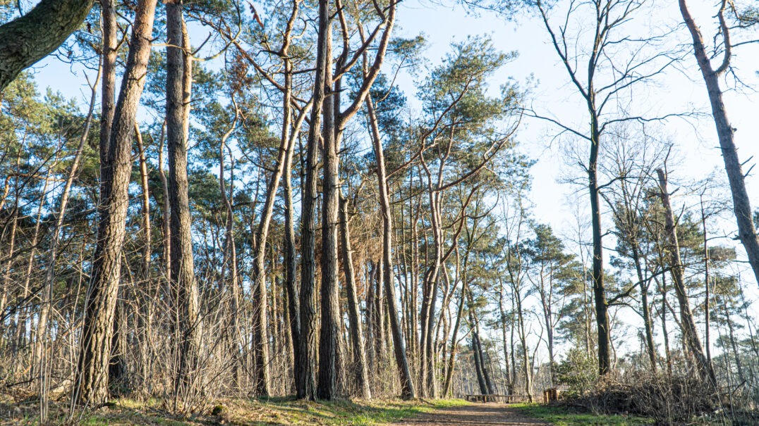 Hofparken De Bergvennen