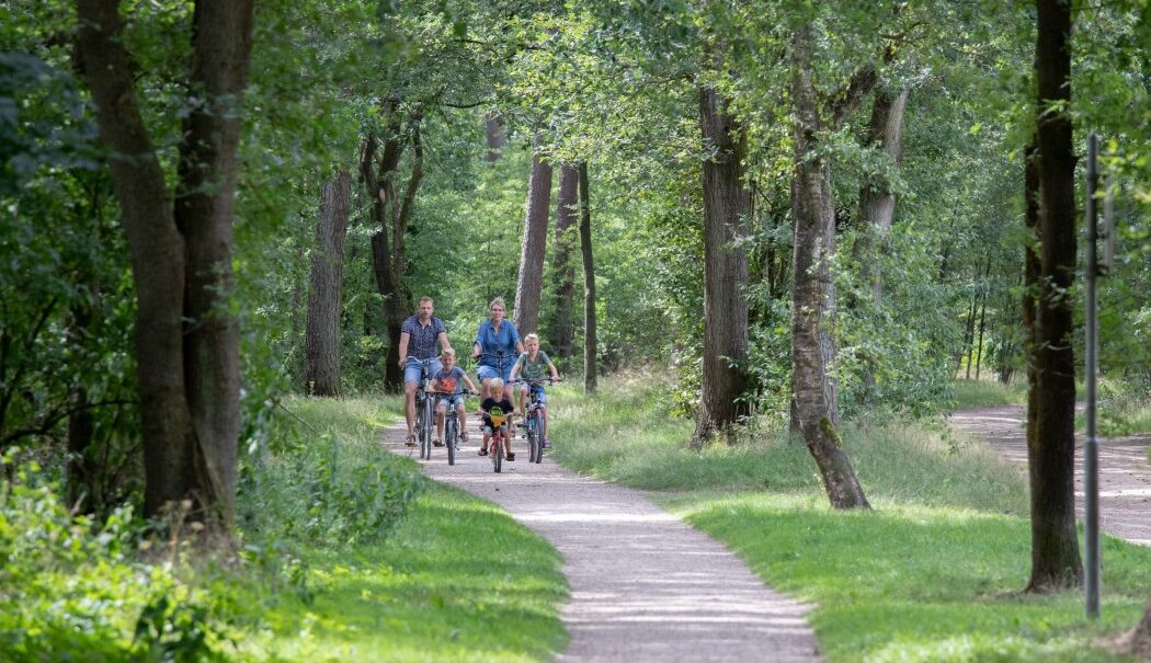 Camping De Noetselerberg