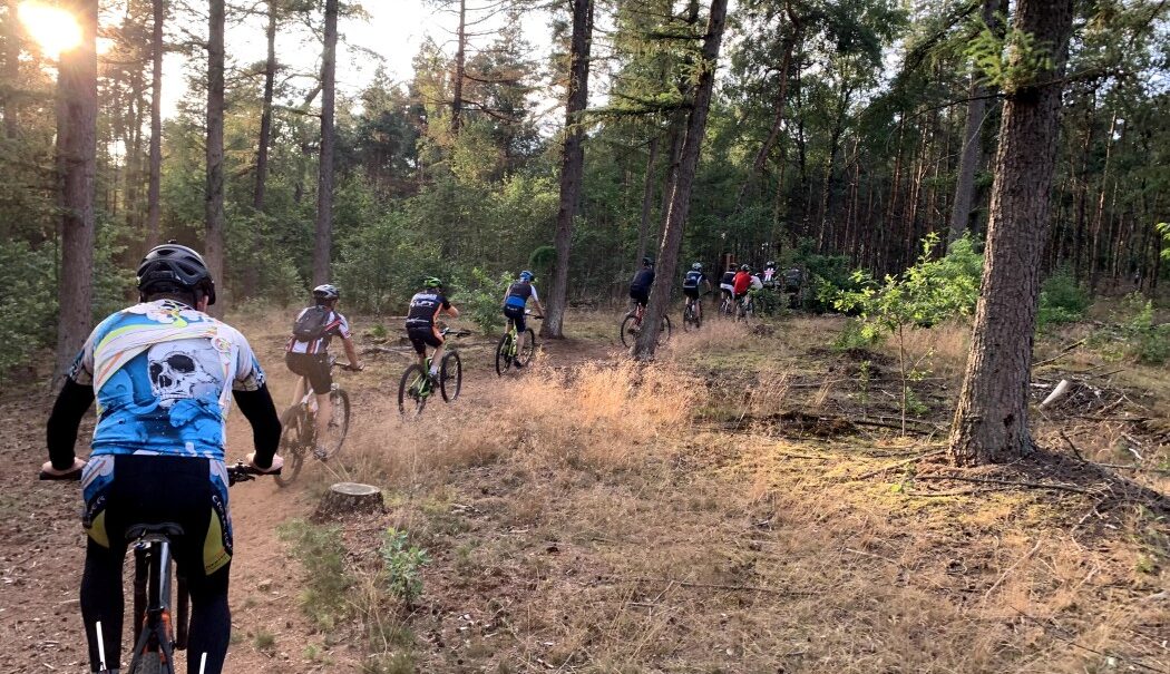 Camping De Noetselerberg
