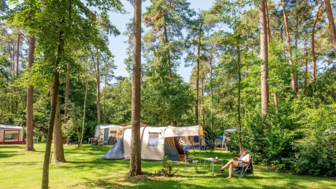 Vakantiedorp De Jutberg