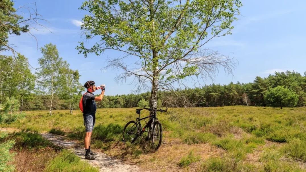 Camping De Holterberg