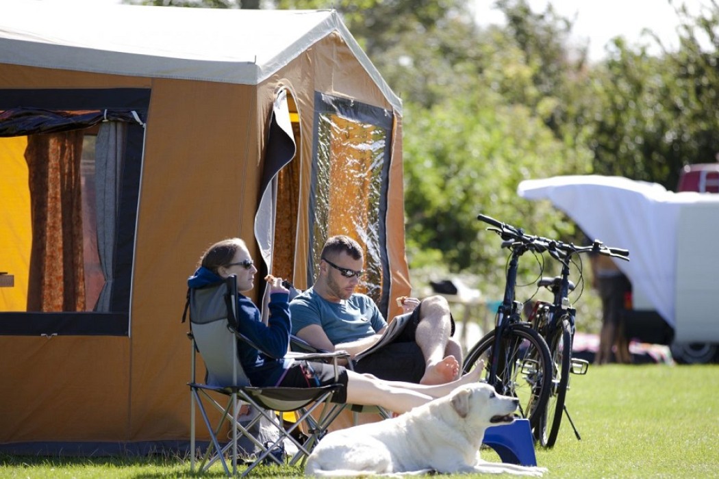 Vakantiepark Noord-Holland met hond