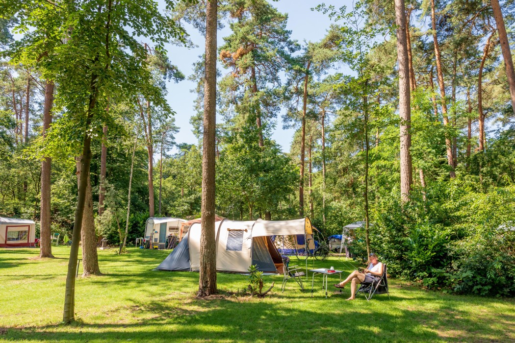 Vakantiedorp De Jutberg