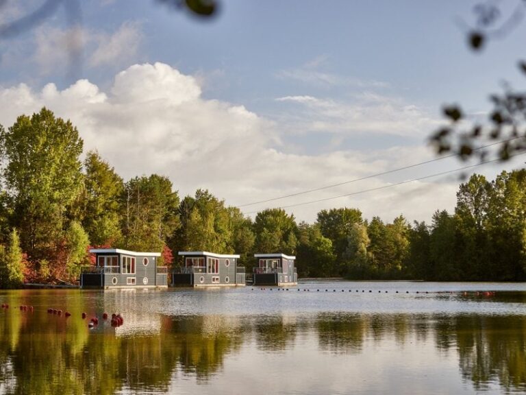 Bispinger Heide