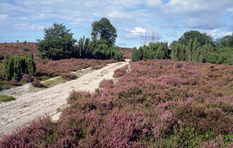 Sallandshoeve