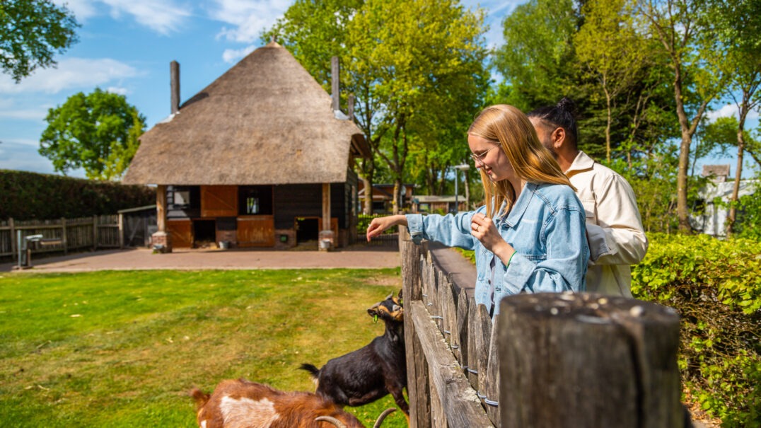 EuroParcs De Wije Werelt