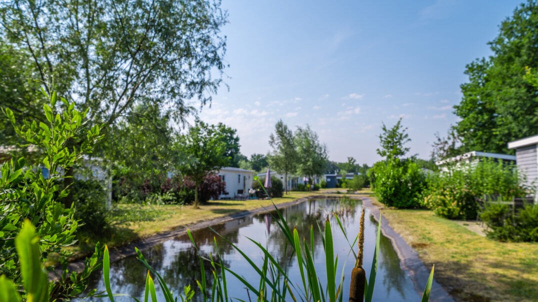 EuroParcs Reestervallei