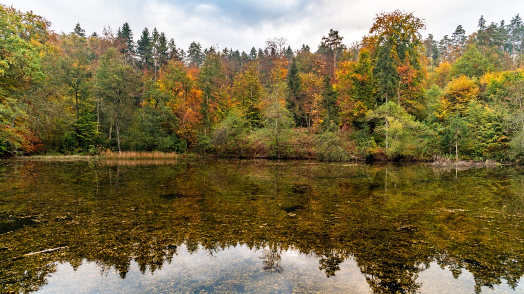 EuroParcs Wörthersee