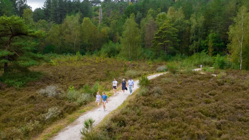 Landal Residence Berger Duinen