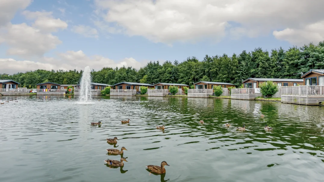 Woodland Lakes