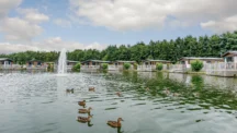 Woodland Lakes
