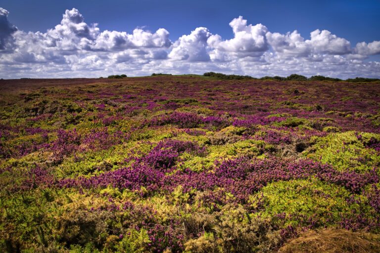 Bretagne