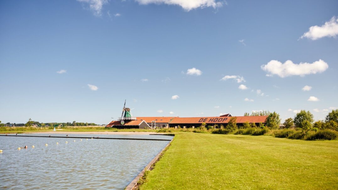 De Hoop