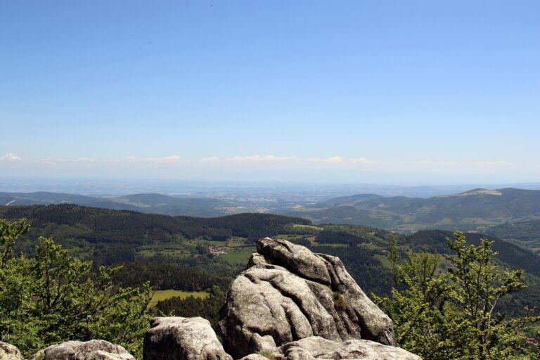 Auvergne-Rhône-Alpes