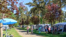Camping de Heldense Bossen