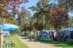 Camping de Heldense Bossen